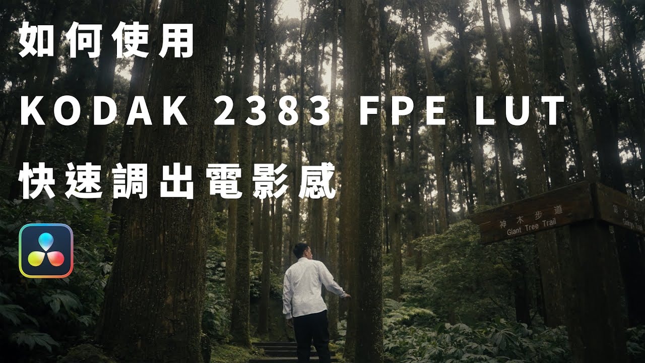 如何正確使用 Kodak 2383 底片模擬 LUT，快速調出電影感？｜達芬奇調色教學