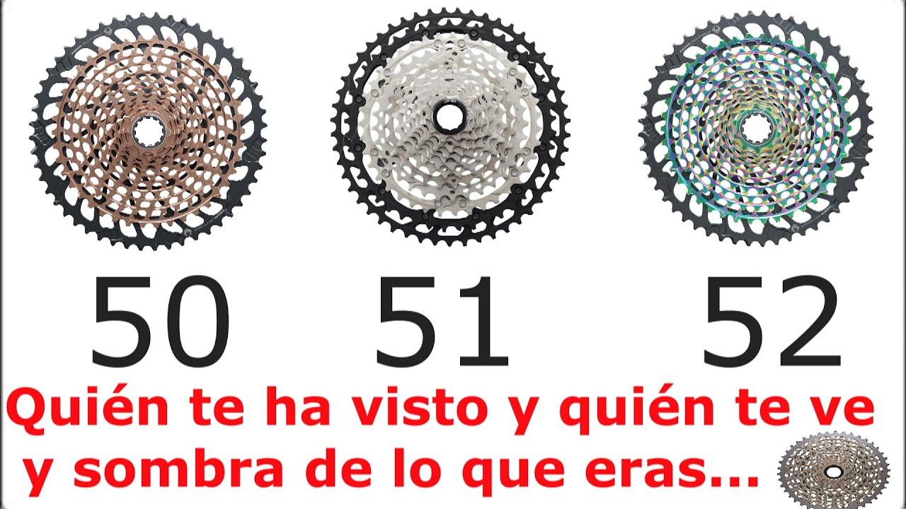 Reflexiones de los piñones 50-51-52.