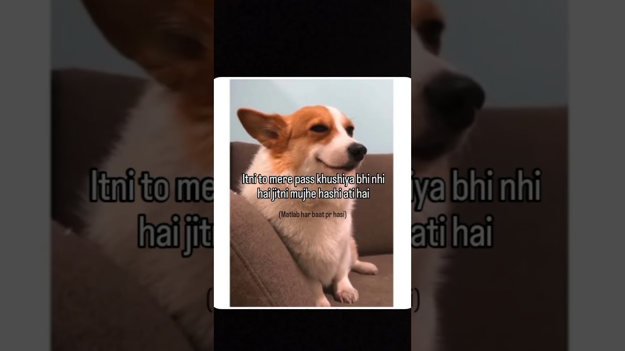 kya matlab pagal ho gyi hu😭🤧😂 #love #memes #trending #fypシ゚viral #viral #memeschallenge