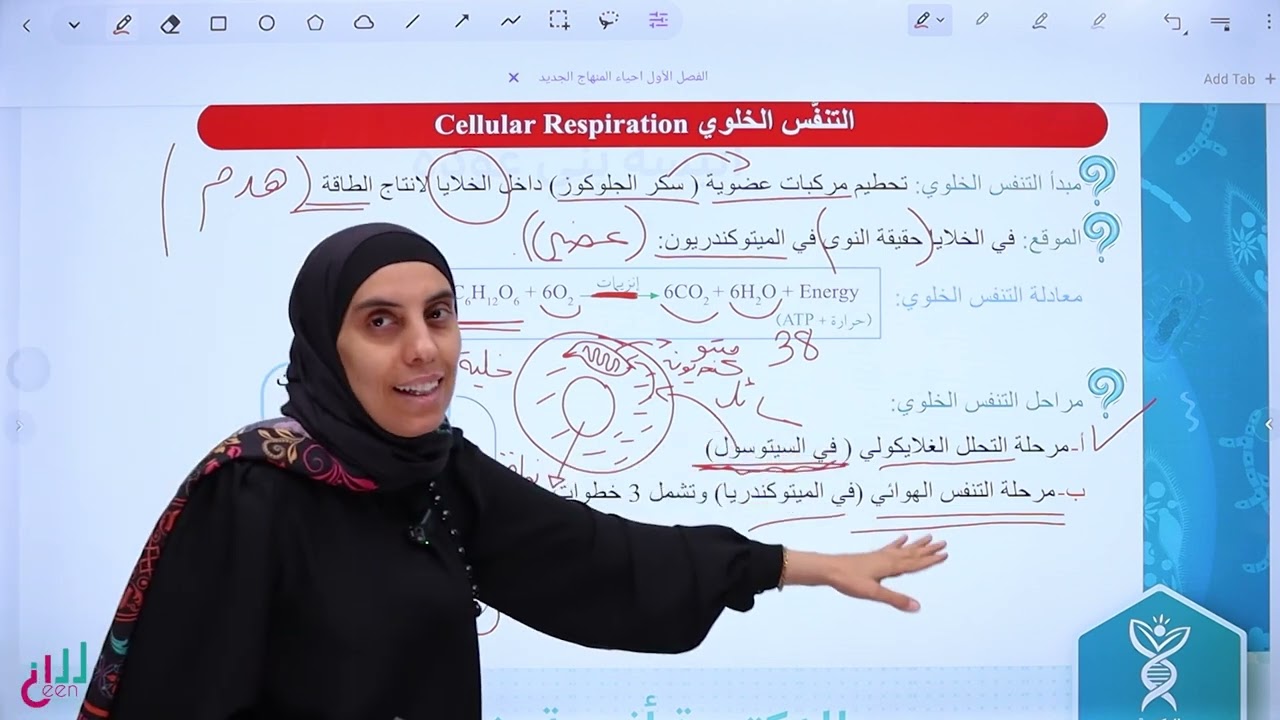 مقدمة في  التنفس