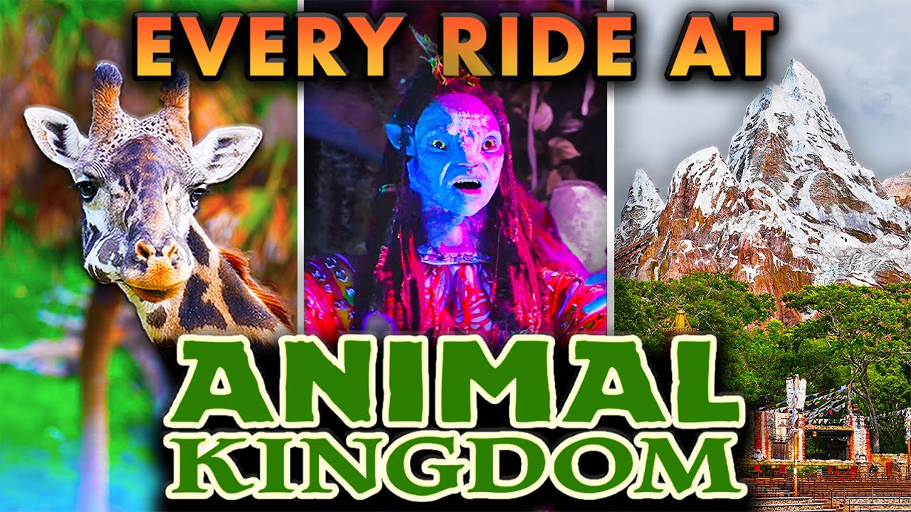 Disney's Animal Kingdom Rides - Everest, Kilimanjaro Safaris & Avatar Land [4K POV]