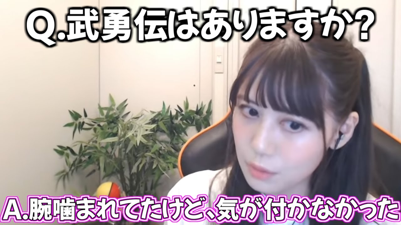 武勇伝と黒歴史の話【みすみゆうか/切り抜き】