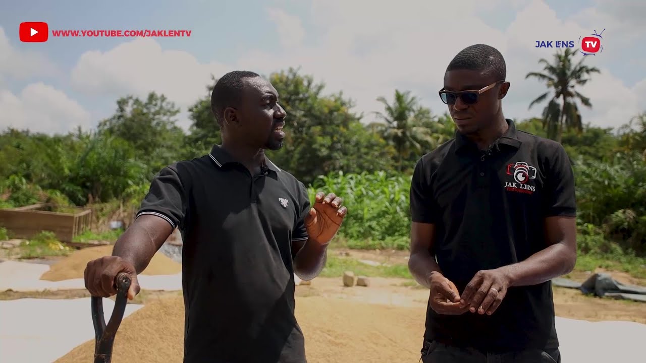 I Make GH300,000 From My 50 Acre Rice Farm Each Yr: A Teacher Turned Rice Farmer Continues His Story