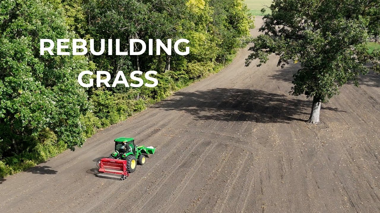 Why This Pasture Grass Had To Go | Starting a Lawn