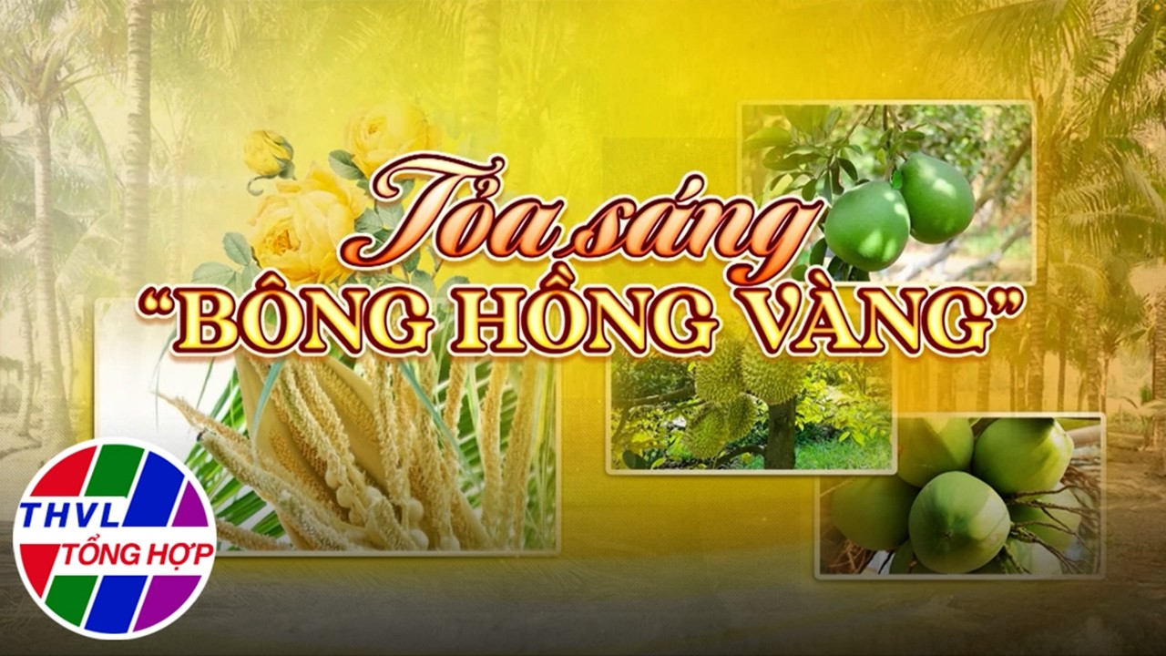 Phim tài liệu: Tỏa sáng bông hồng vàng
