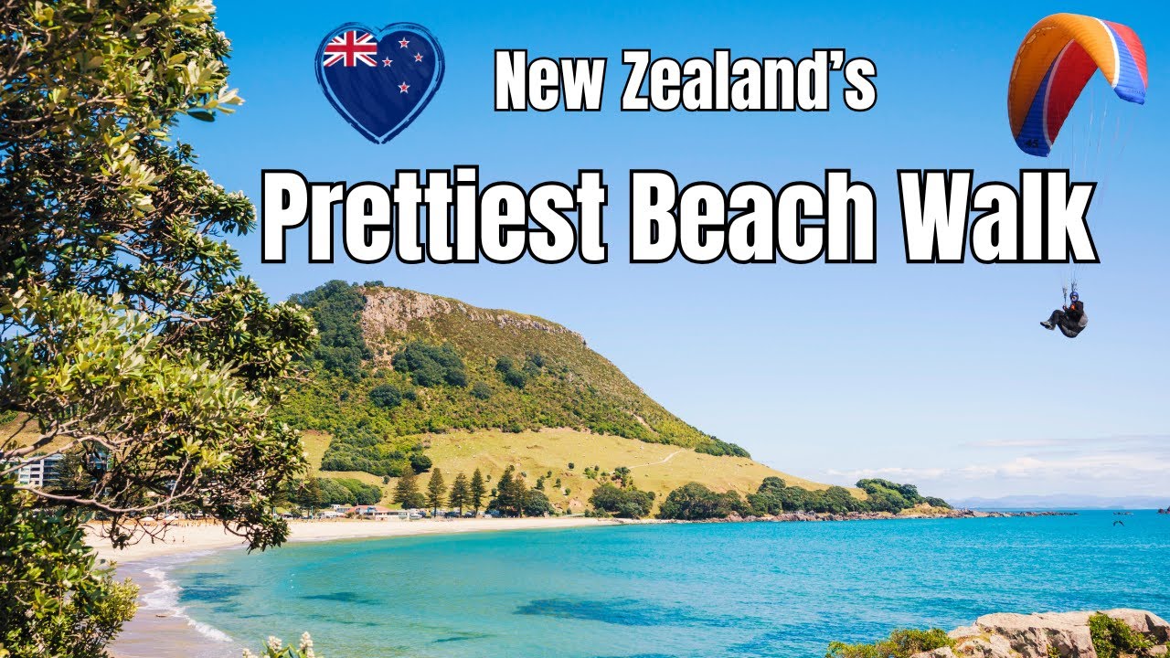 Mount Maunganui Walking Tour - Seals, Hot Pools, Surf Beaches & Epic Coastal Views