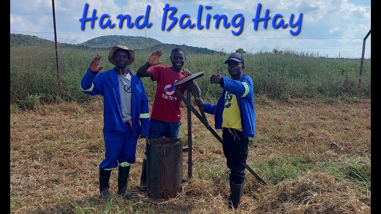 Hand Baling Hay