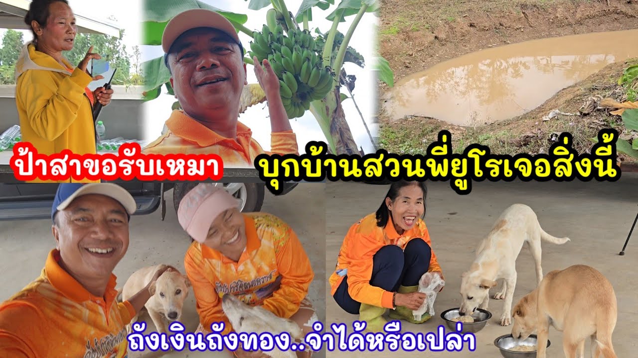 บุกบ้านสวนพี่ยูโร ป้าสาขอรับเหมาทำสิ่งนี้ ถังเงินถังทองสุดดีใจจำกันได้ไหม?