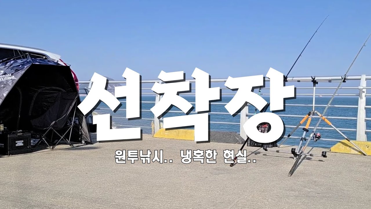 선착장 원투낚시, 여기서는 뭐가 나올까?(서산 원투낚시)