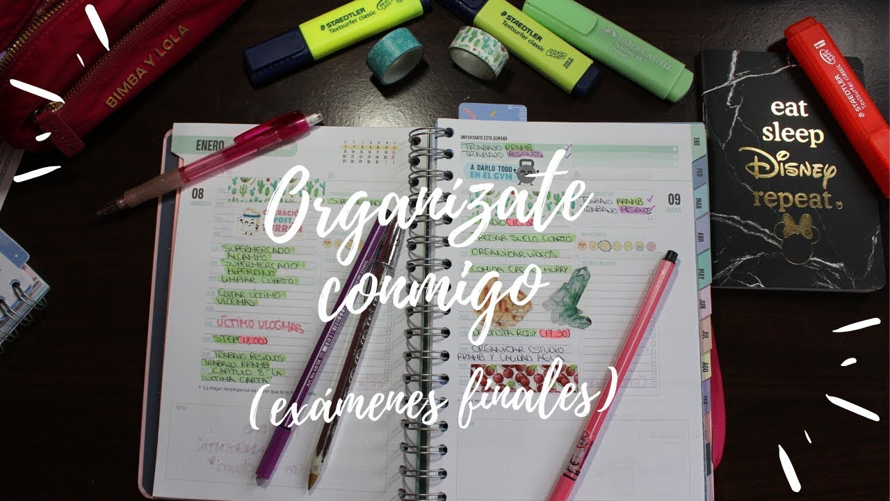 MI M&Eacute;TODO de ORGANIZACI&Oacute;N🤓📚 |AGENDA D&Iacute;A POR P&Aacute;GINA| LetiihCullen♡;