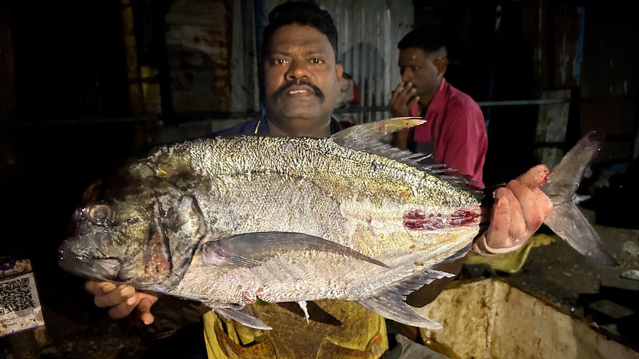 KASIMEDU 🔥 SPEED SELVAM | PARRAI FISH 🐟 MASS CUTTING SKILLS | N M FISH CUTTING 🔪
