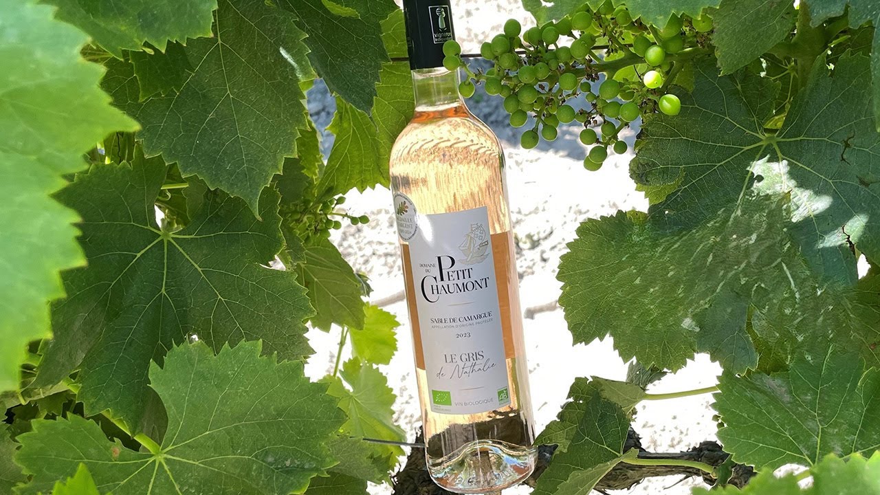Domaine du Petit Chaumont &bull; gris de gris &bull; vins bio