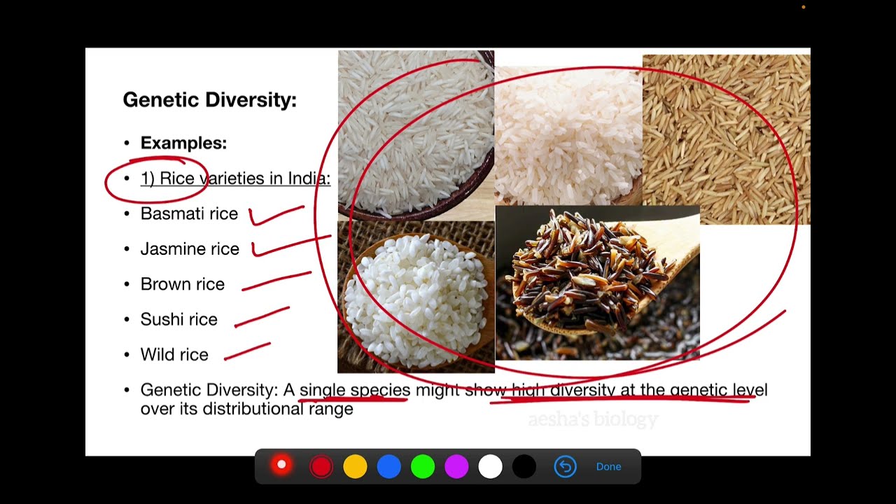 Types of biodiversity| Biodiversity and conservation Class 12 biology #biodiversityandconservation 