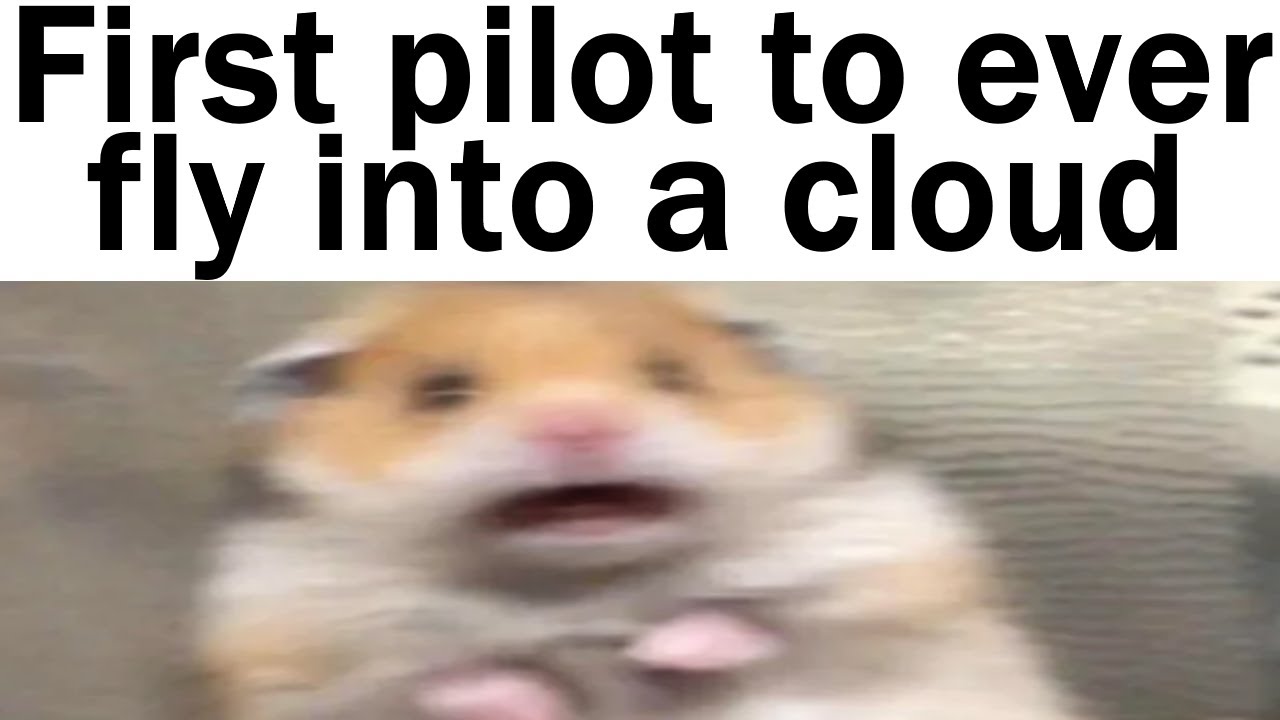 Daily Juicy Memes 1200