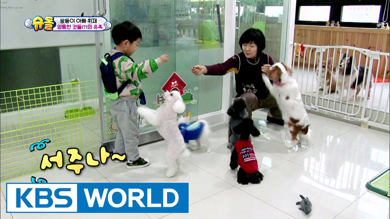 Twins’ House - The temptation from silly things [The Return of Superman / 2016.12.25]
