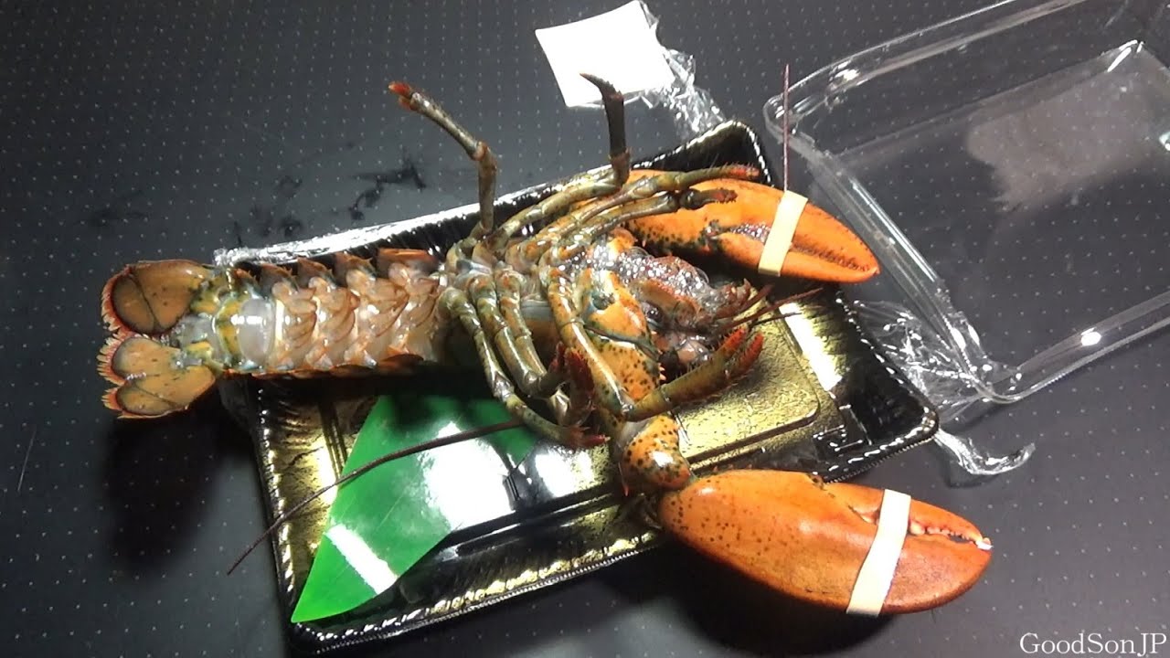 鮮魚コーナーのロブスターを飼育してみたら異常な事態に...【アクアリウム】