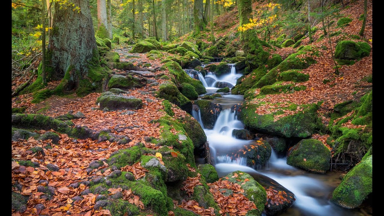 Die Gertelbach Wasserfälle bei Bühlertal im Schwarzwald