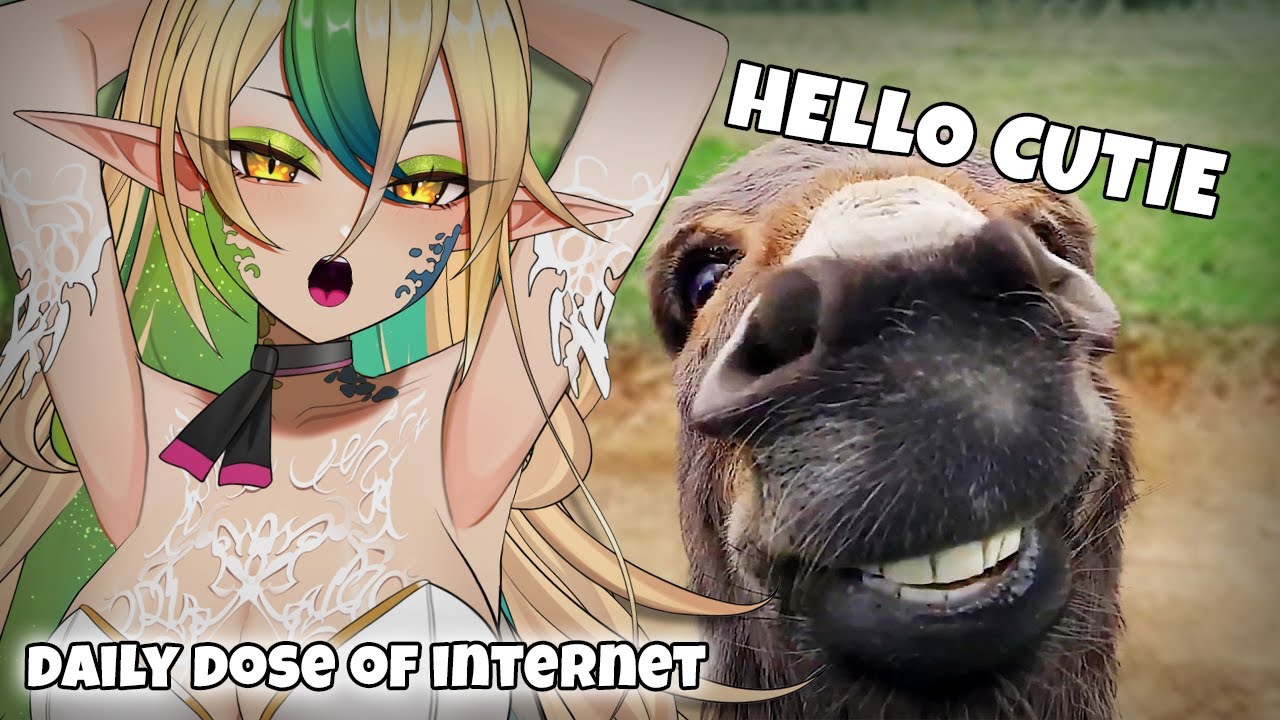 HE IS SO CUTE!? 🥺 | Reacting to the Funniest Animal Videos Ever