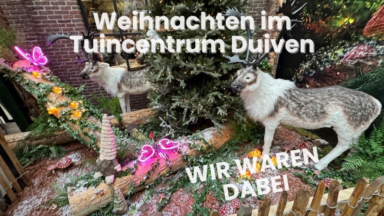 Weihnachtswunderland in Duiven – Das größte Christmas-Event Europas im Tuincentrum