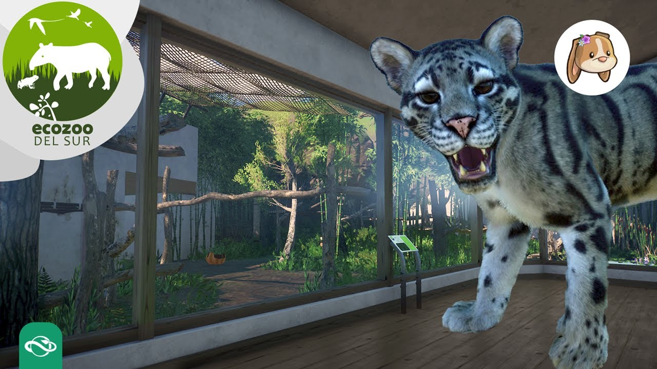 🐆 Pantera Nebulosa: Creando un Rincón Secreto en el Ecozoo del Sur | Planet Zoo Español Speed Build