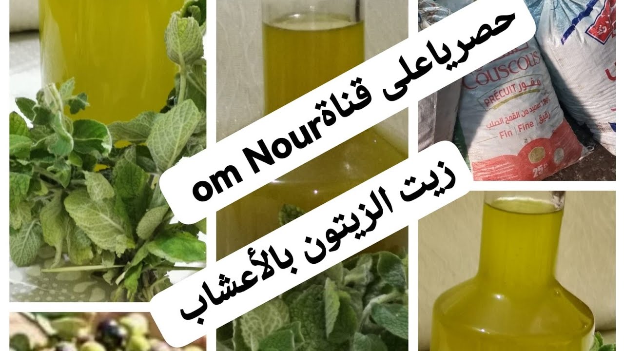 حصريا على قناتي الزيتون كيتحول إلى ذهب سائل بالأعشاب شوفو عمليةاستخراج زيت الزيتون التقليديةفالمعصرة