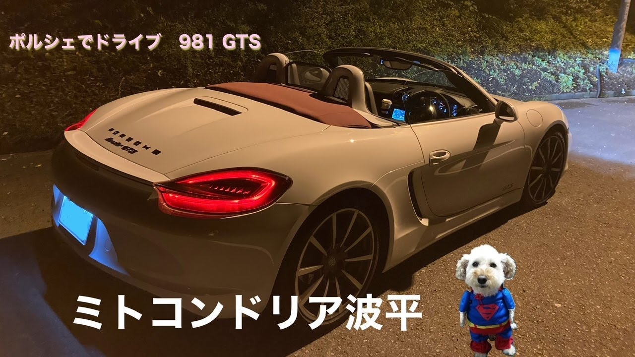 ポルシェ　ボクスター981　ドライブ