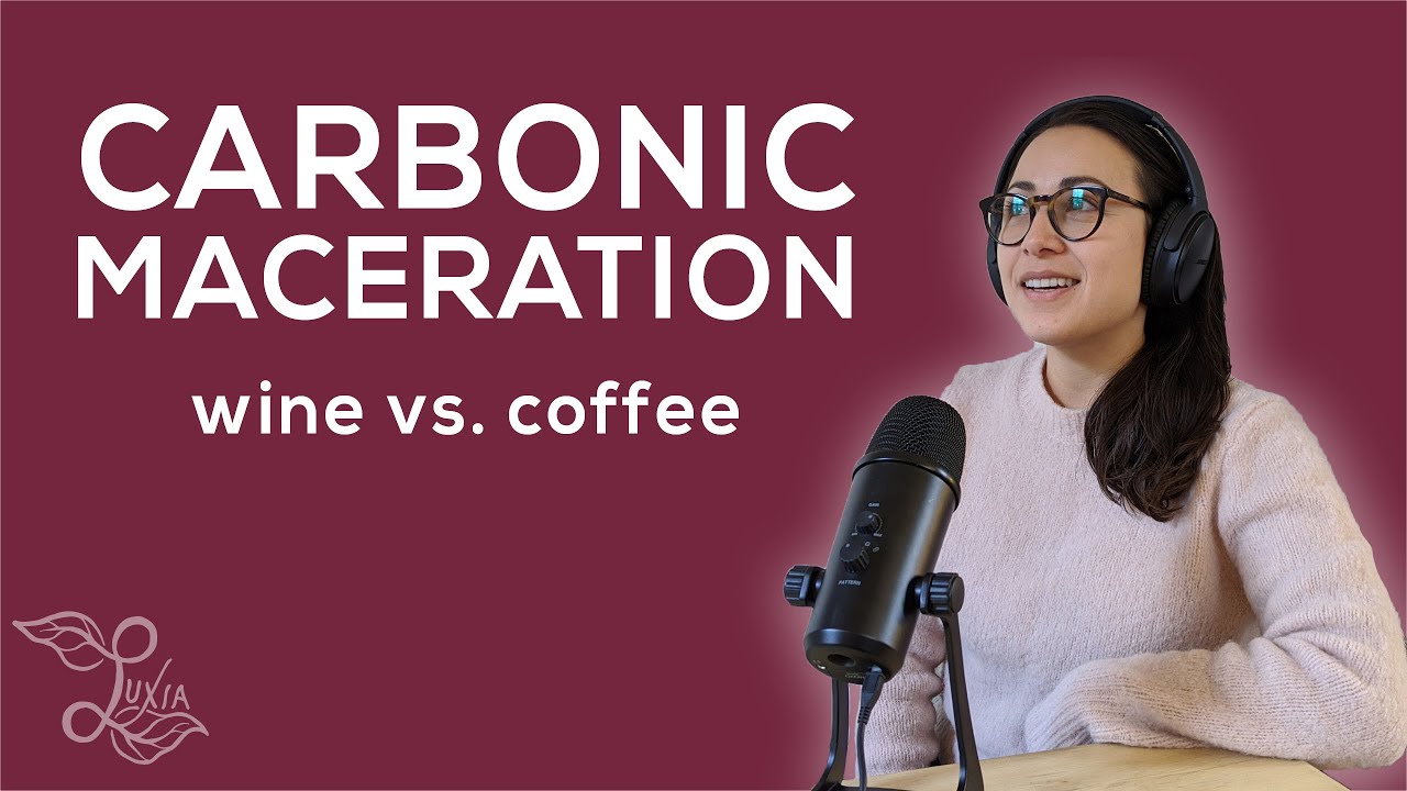 4 Things I don't like about Carbonic Maceration in Coffee