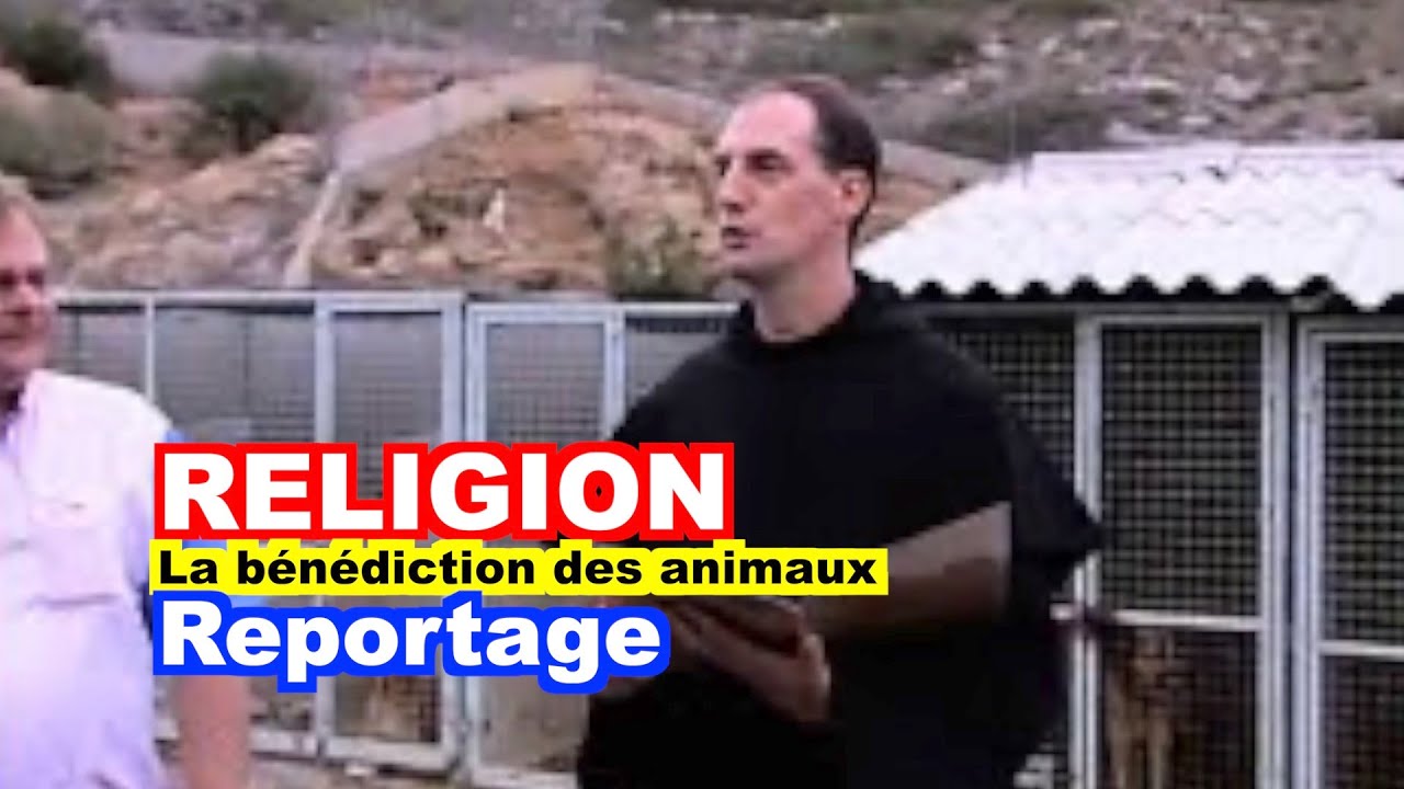 RELIGION : La bénédiction des animaux par Monseigneur François Bustillo