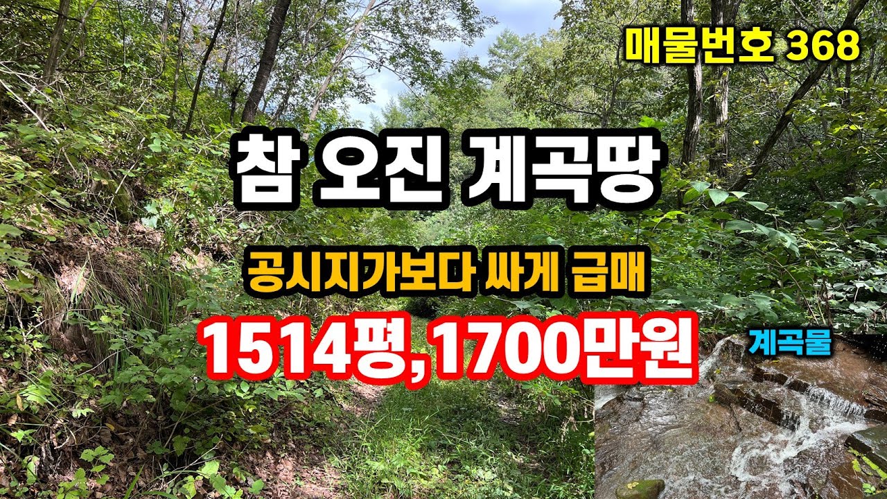 경북땅 오지땅 공시지가보다 저렴하게 급매 합니다!! 오지 계곡땅 소액땅 싼 땅 급매물