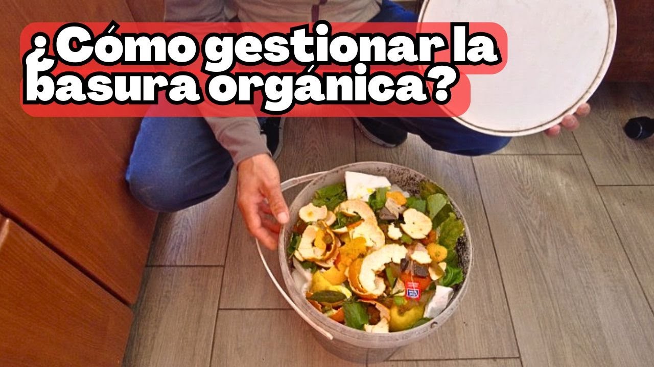 🌱basura organica de la cocina como gestionarla #plantas #balconygarden