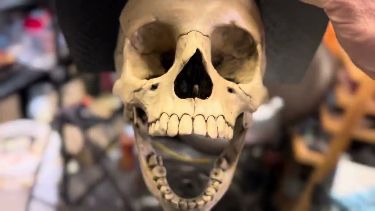“The Creep” progress! AKA: The best way to 3D print a skull! | MATT MCNEIL