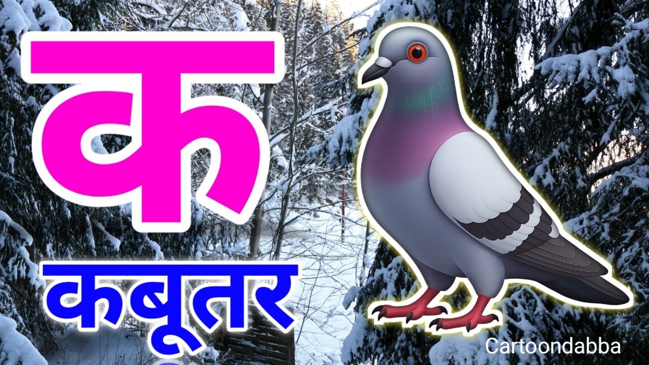 क से कबूतर,अ से अनार a se anaar k se kabutar | Hindi varnmala ABCD क से‌ कबूतर अ से अनार, for kids 6