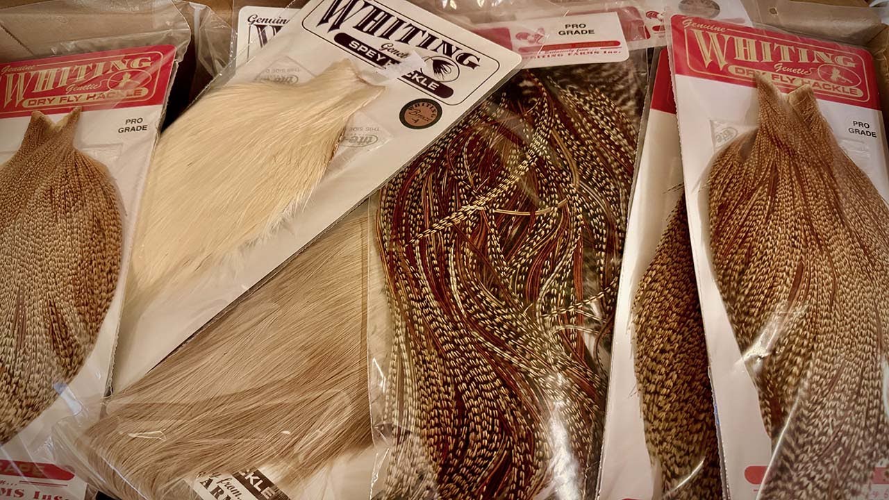 Big Whiting restock. Cree, spey and much more