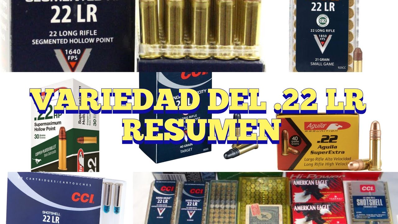 Top 5 municion en .22 LR