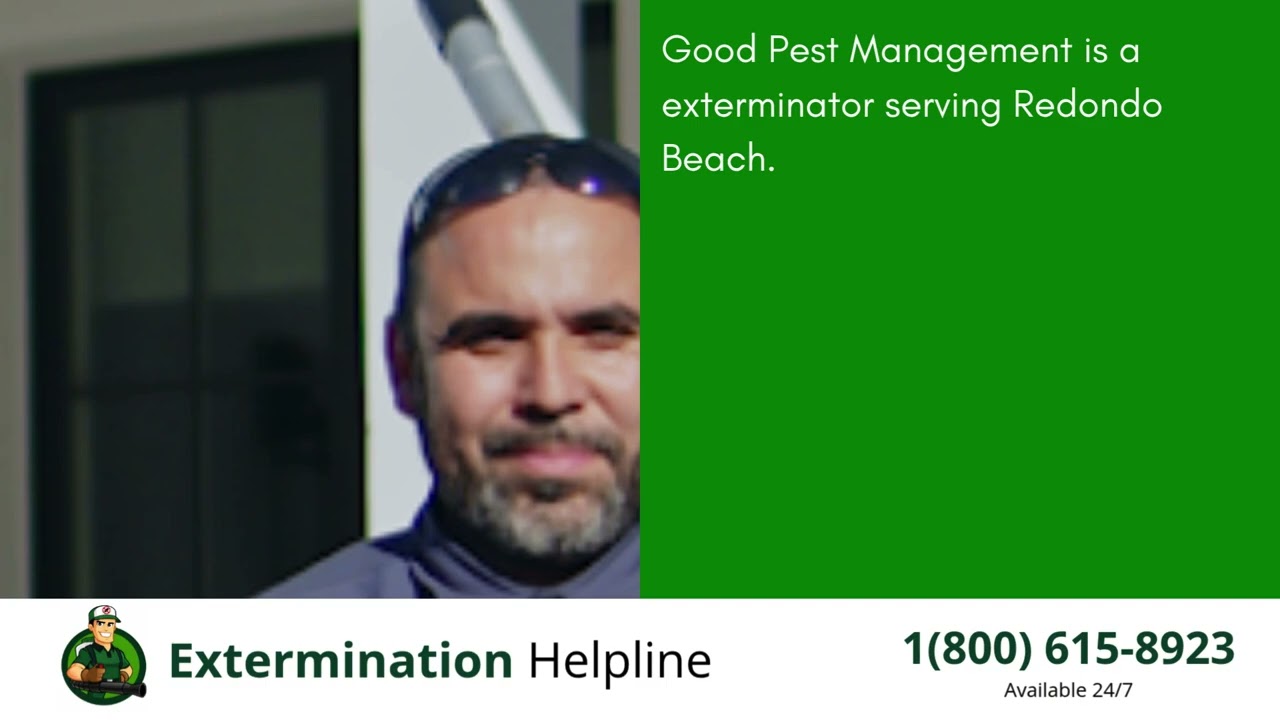 Top 3 Exterminators in Redondo Beach