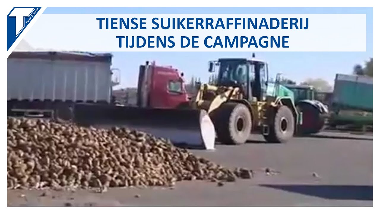 TVCom visite la Raffinerie Tirlemontoise pendant la campagne