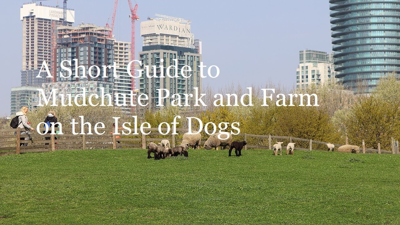 A Short Guide to Mudchute Park and Farm in London
