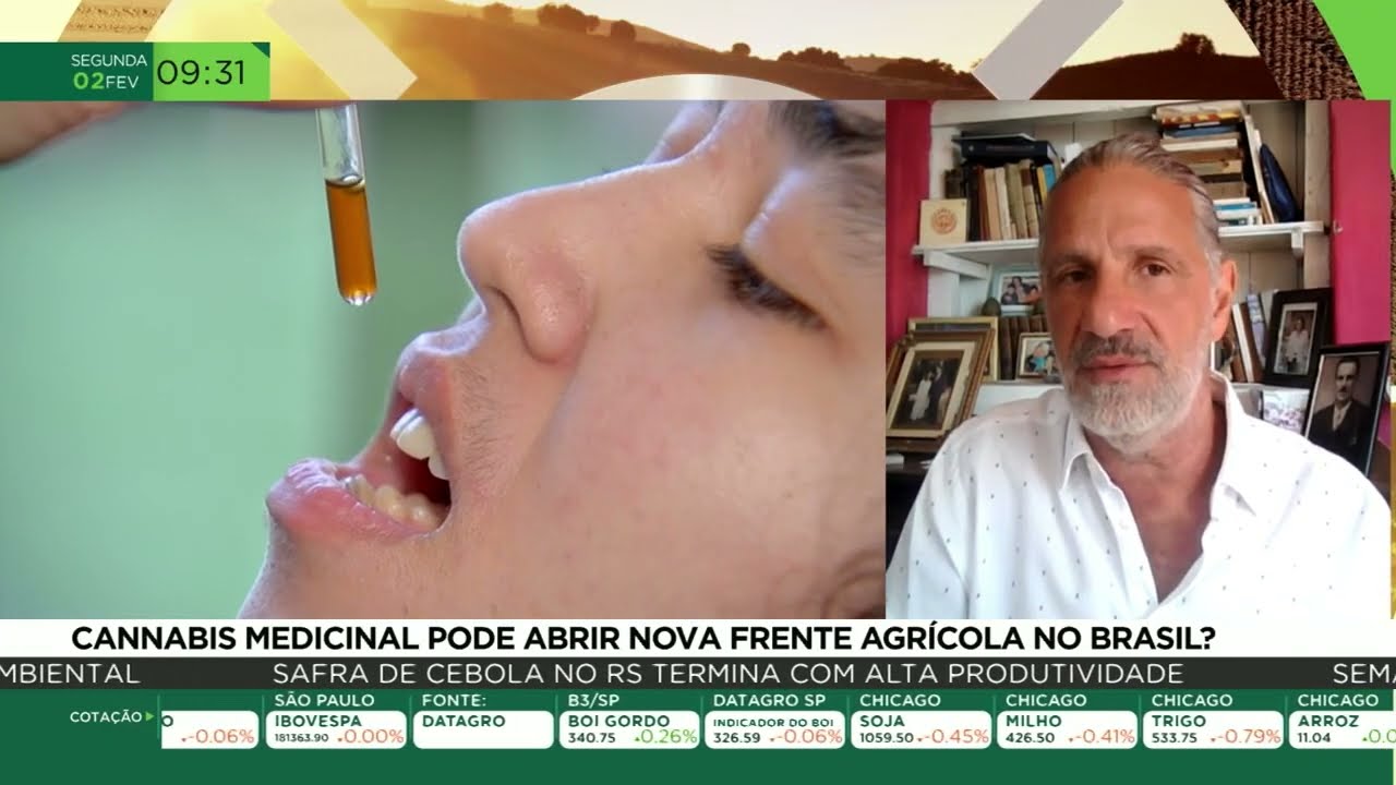 Cannabis medicinal pode abrir nova frente agrícola no Brasil ?
