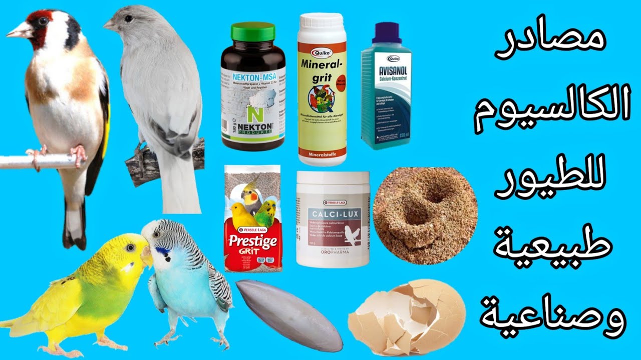 مواد طبيعية و مصنعة تساعد الطيور في الهضم وتزودها بالكالسيوم | grit-calcium |