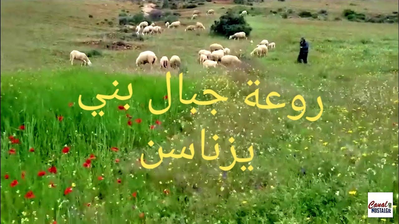 #Canal_Nostalgie_Nature روعة جبال بني يزناسن وعيون مائية تتحدى الجفاف