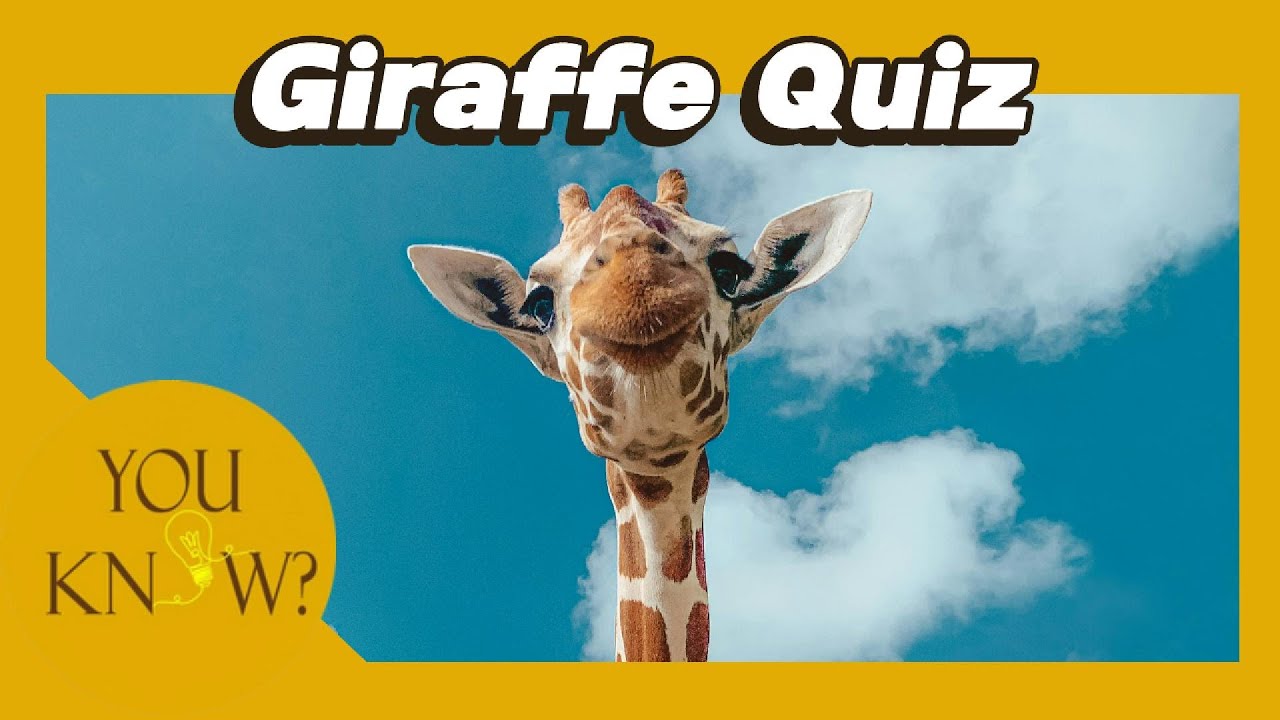 🦒 Ultimate Giraffe Quiz | How Much Do You Really Know About the Tallest Animal?