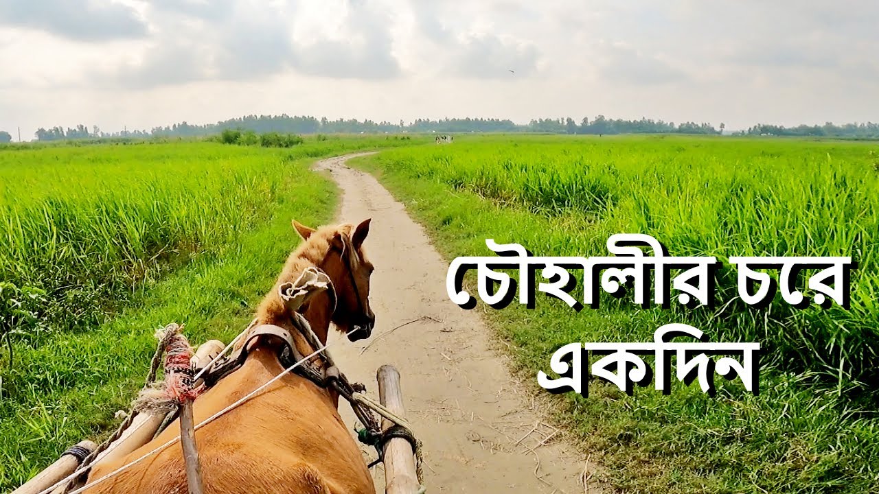 VISITING CHOWHALI CHAR.