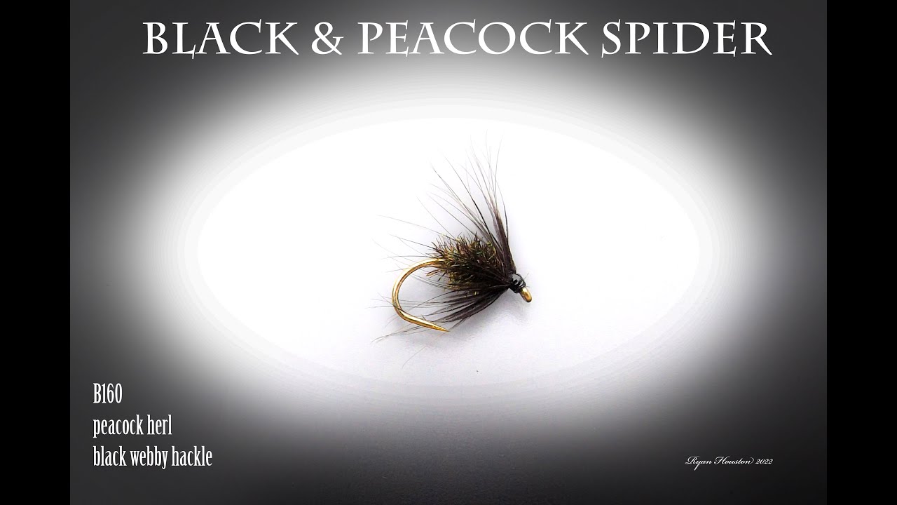 TYING THE BLACK AND PEACOCK SPIDER WITH RYAN HOUSTON