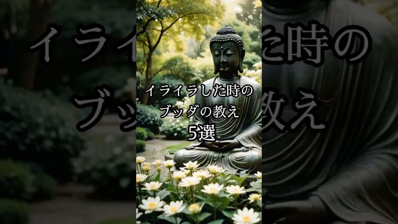 イライラした時のブッダの教え5選#仏教#ブッタ#心の哲学