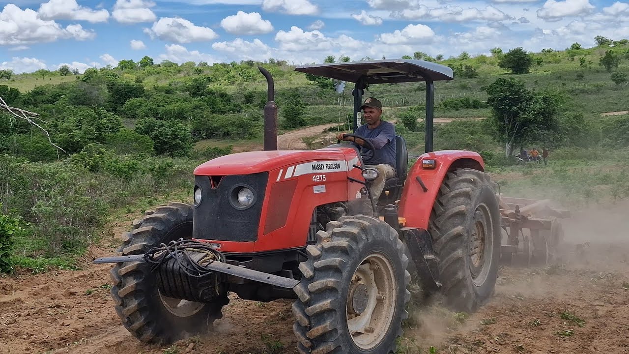 Aqui em Araruna Paraíba só rola massey ferguson 