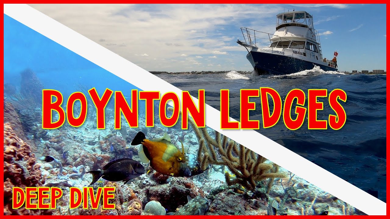 Florida Scuba Diving - The Boynton Ledges