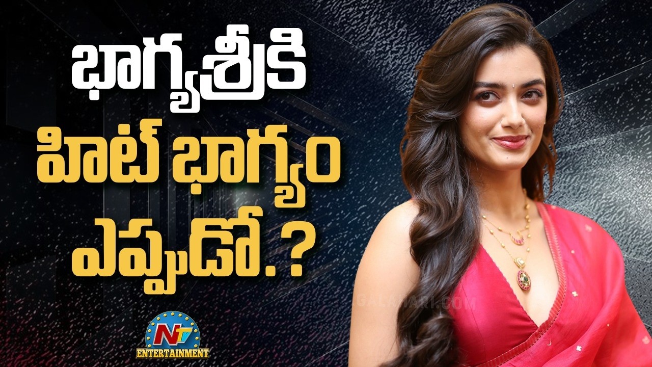 Bhagyashri Borse New & Upcoming Movies Updates || Lenin || @NTVENT