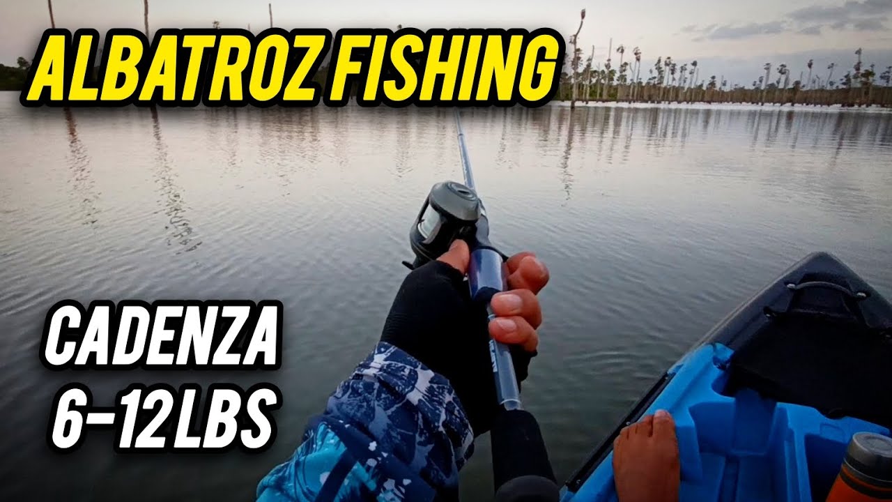 TESTE DA VARA CADENZA ALBATROZ FISHING