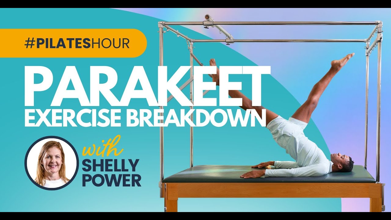 Pilates Hour #132 -  Parakeet Exercise Breakdown with Shelly Power