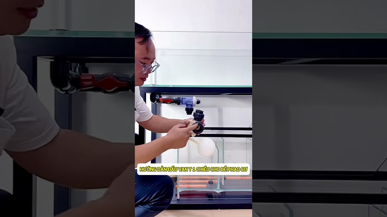 Hướng dẫn đấu ống bể phao cơ sử dụng van T 1 chiều